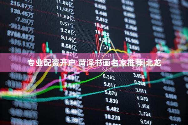 专业配资开户 菏泽书画名家推荐|北龙