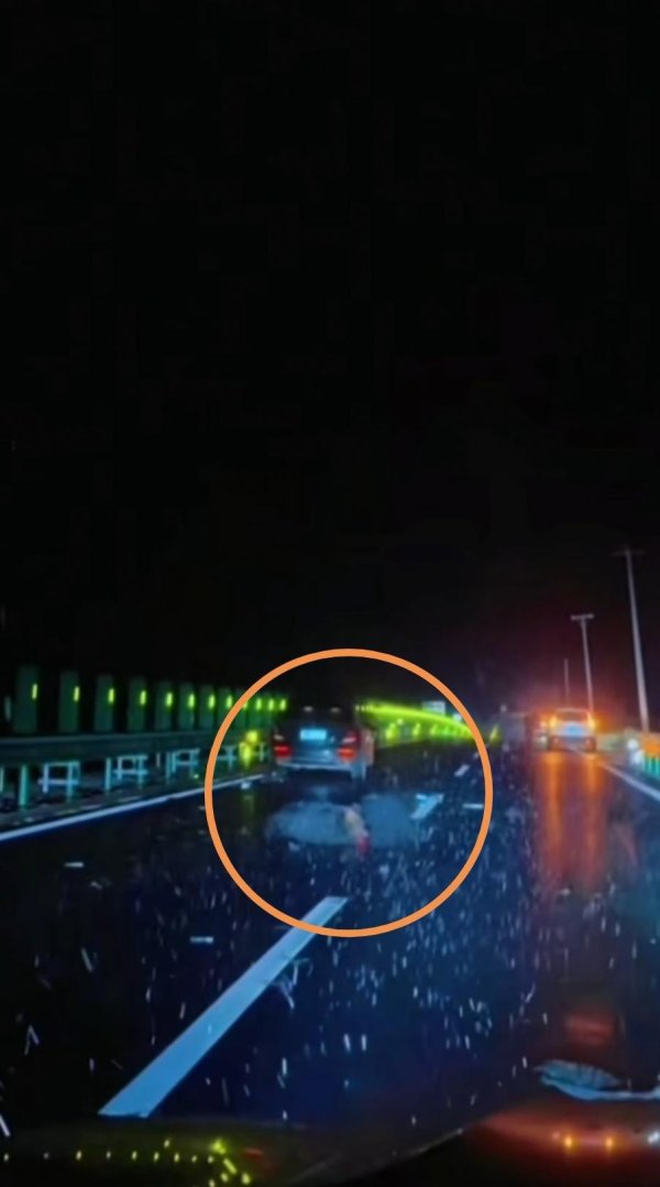 手机股票配资软件 吉林女子驾车不慎撞死一头黑熊，交警称驾驶员没事且不涉及处罚，律师：意外撞死野生保护动物无需担责